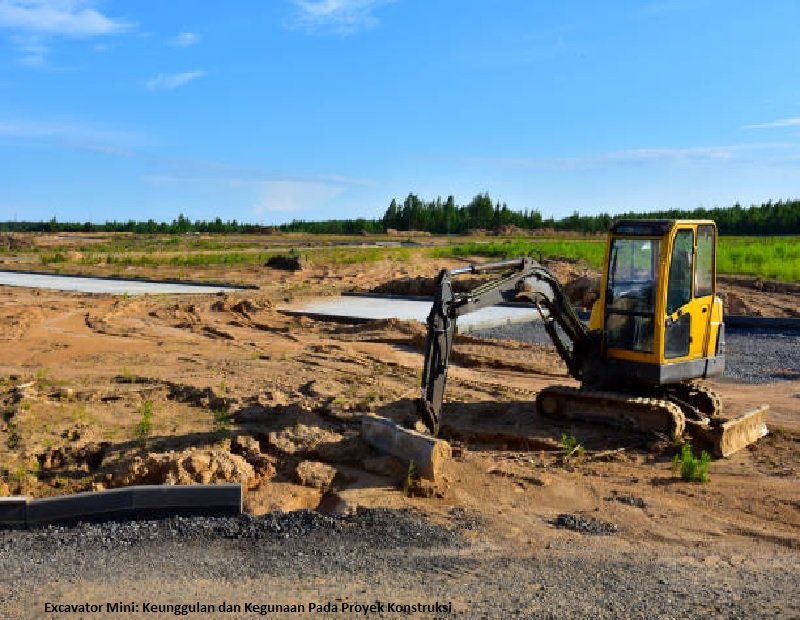 Excavator Mini